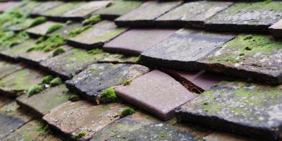 Llandogo roof repair costs